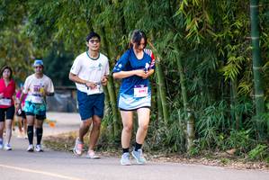 BIB: 
                            <button type="button" onclick="openModal(19115675)" class="btn btn-primary btn-sm float-right btn-popup" data-toggle="modal" data-target=".modal-high-quality">
                        <i class="fas fa-shopping-cart"></i> Add to Cart
                    </button>
                                            <button type="button" onclick="isThisMe(19115675, true)" class="btn btn-success btn-sm float-right btn-popup btn-isme hidden" data-toggle="tooltip" data-placement="bottom" title="นี่คือรูปของคุณใช่ไหม คลิกที่นี่เพื่อเอาเข้าอัลบั้ม">
                        <i class="fas fa-plus"></i> Add to album
                    </button>
                    <button type="button" onclick="isThisMe(19115675, false)" class="btn btn-warning btn-sm float-right btn-popup btn-isnotme hidden">
                        <i class="fas fa-ban"></i> Remove from album
                    </button>